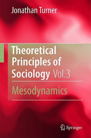 Kniha Theoretical Principles of Sociology, Volume 3 Jonathan H. Turner