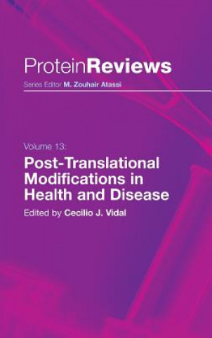 Könyv Post-Translational Modifications in Health and Disease Cecilio J. Vidal