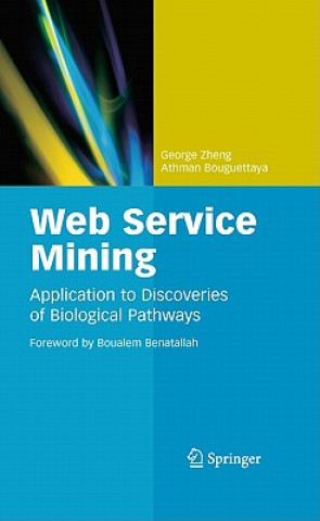 Kniha Web Service Mining George Zheng