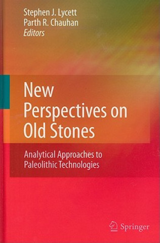Kniha New Perspectives on Old Stones Stephen J. Lycett