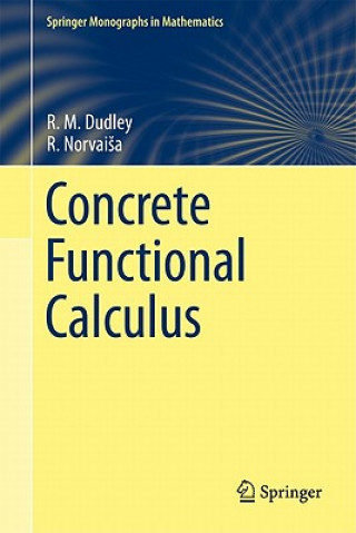 Könyv Concrete Functional Calculus Richard M. Dudley