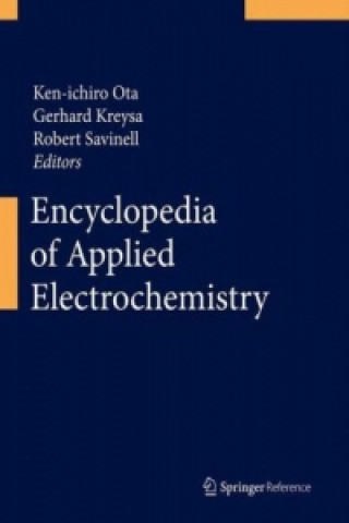 Carte Encyclopedia of Applied Electrochemistry Ken-ichiro Ota