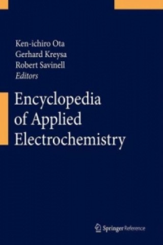 Kniha Encyclopedia of Applied Electrochemistry Ken-ichiro Ota