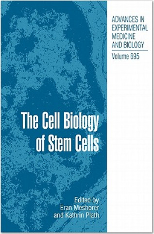 Книга Cell Biology of Stem Cells Eran Meshorer