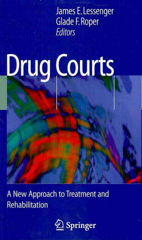 Kniha Drug Courts James E. Lessenger