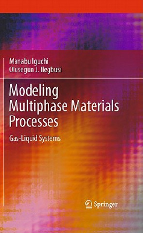 Könyv Modeling Multiphase Materials Processes Manabu Iguchi