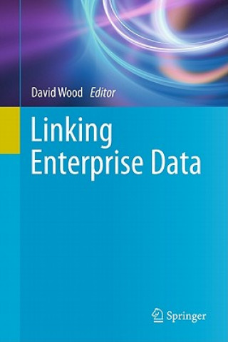 Könyv Linking Enterprise Data David Wood