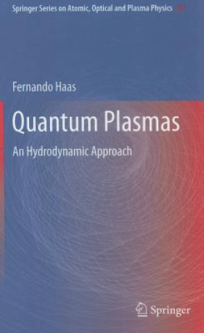 Könyv Quantum Plasmas Fernando Haas