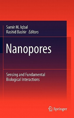 Книга Nanopores Samir M. Iqbal