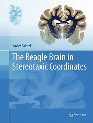 Kniha Beagle Brain in Stereotaxic Coordinates Xavier Palazzi