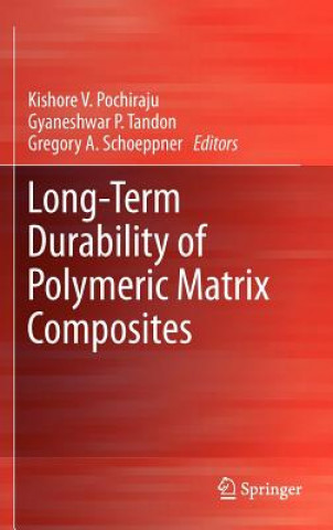 Kniha Long-Term Durability of Polymeric Matrix Composites Kishore V. Pochiraju
