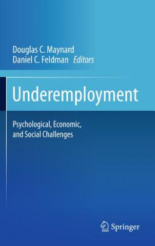Книга Underemployment Douglas C. Maynard