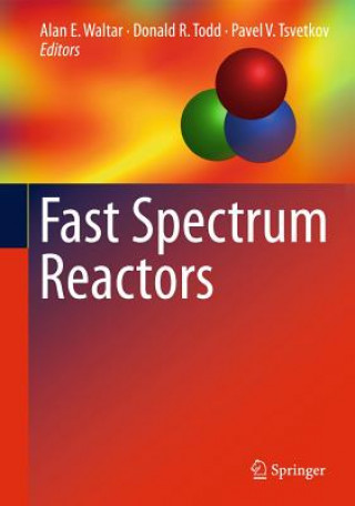 Kniha Fast Spectrum Reactors Alan E. Waltar