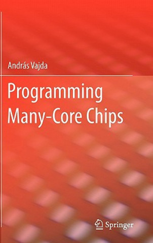 Książka Programming Many-Core Chips András Vajda