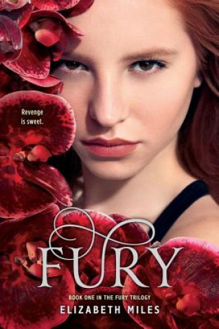 Kniha Fury Elizabeth Miles