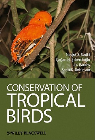 Kniha Conservation of Tropical Birds Navjot S Sodhi