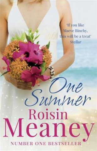 Könyv One Summer Roisin Meaney