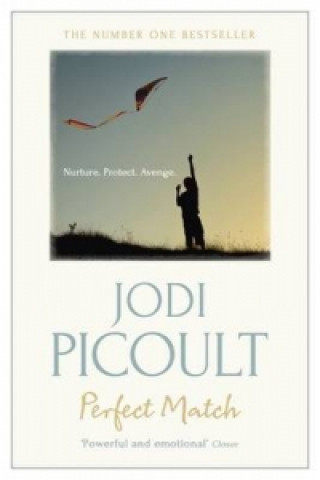 Buch Perfect Match Jodi Picoult