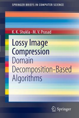 Kniha Lossy Image Compression K.K. Shukla