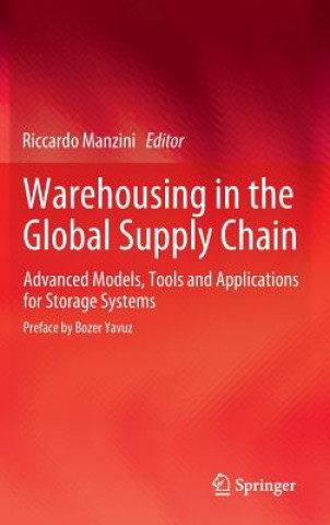 Kniha Warehousing in the Global Supply Chain Riccardo Manzini