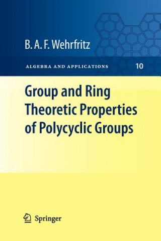 Könyv Group and Ring Theoretic Properties of Polycyclic Groups Bertram A. F. Wehrfritz