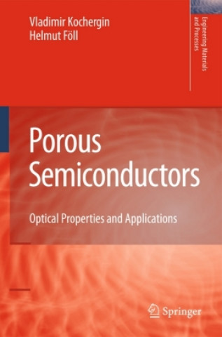 Kniha Porous Semiconductors Vladimir Kochergin