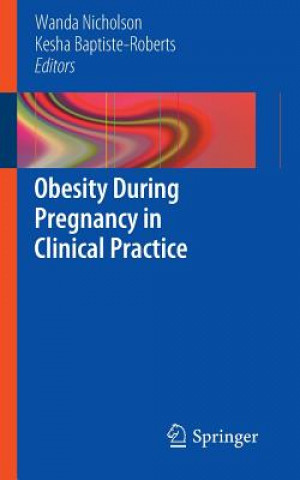 Könyv Obesity During Pregnancy in Clinical Practice Wanda Nicholson