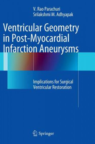 Könyv Ventricular Geometry in Post-Myocardial Infarction Aneurysms V. R. Parachuri