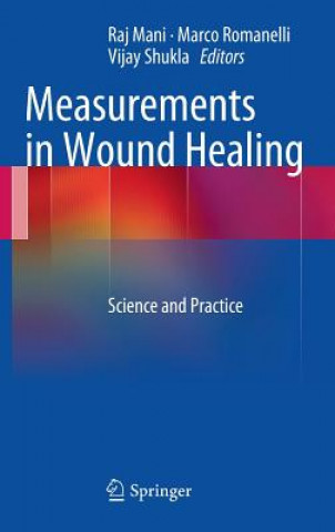 Kniha Measurements in Wound Healing Raj Mani