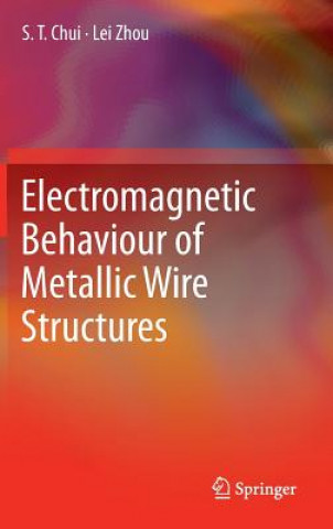 Kniha Electromagnetic Behaviour of Metallic Wire Structures S. T. Chui