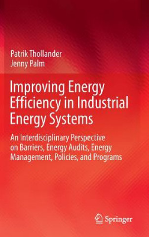 Könyv Improving Energy Efficiency in Industrial Energy Systems Patrik Thollander