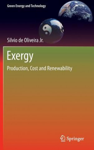 Книга Exergy Silvio de Oliveira