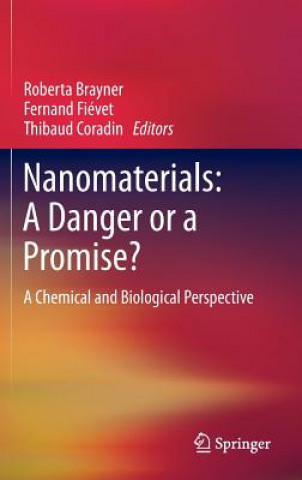 Buch Nanomaterials: A Danger or a Promise? Roberta Brayner