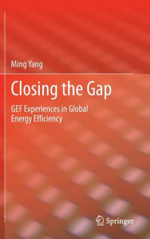 Kniha Closing the Gap Ming Yang