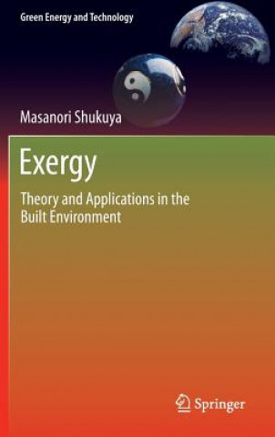 Kniha Exergy Masanori Shukuya