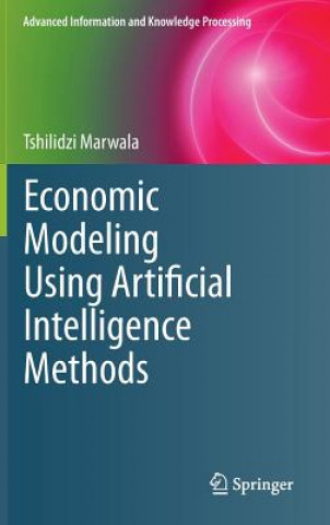 Kniha Economic Modeling Using Artificial Intelligence Methods Tshilidzi Marwala