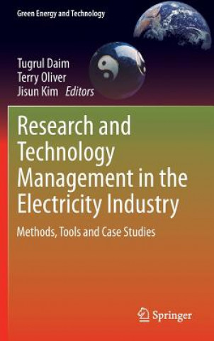 Książka Research and Technology Management in the Electricity Industry Tugrul Daim