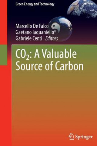 Könyv CO2: A Valuable Source of Carbon Marcello Falco
