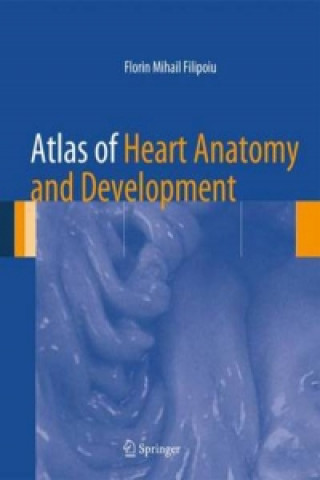 Książka Atlas of Heart Anatomy and Development Florin Mihail Filipoiu