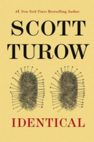 Knjiga Identical Scott Turow