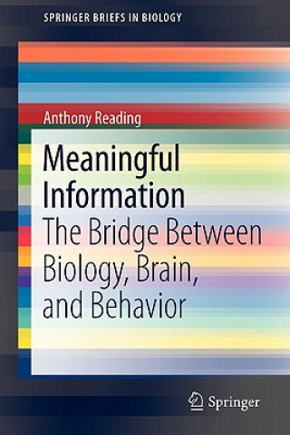 Knjiga Meaningful Information Anthony Reading