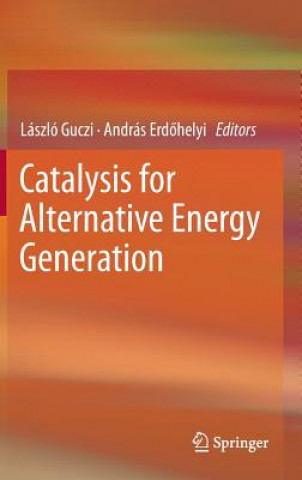 Könyv Catalysis for Alternative Energy Generation László Guczi