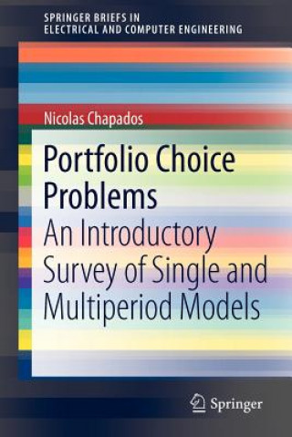Könyv Portfolio Choice Problems Nicolas Chapados