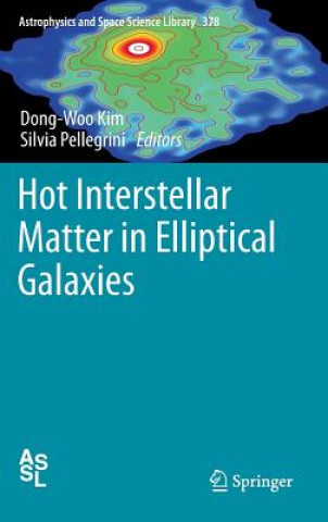 Книга Hot Interstellar Matter in Elliptical Galaxies Dong-Woo Kim