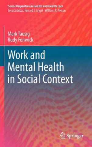 Könyv Work and Mental Health in Social Context Mark Tausig