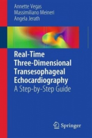 Kniha Real-Time Three-Dimensional Transesophageal Echocardiography Annette Vegas
