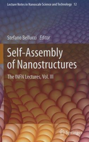 Carte Self-Assembly of Nanostructures Stefano Bellucci