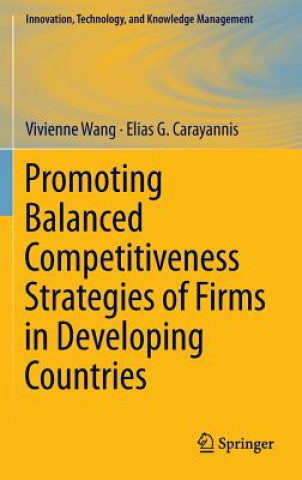 Kniha Promoting Balanced Competitiveness Strategies of Firms in Developing Countries Vivienne Wang