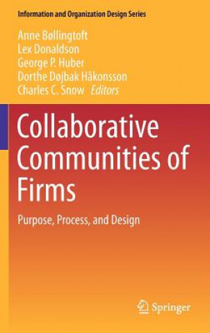 Kniha Collaborative Communities of Firms Anne B