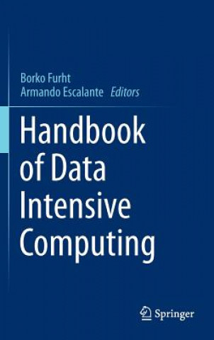 Könyv Handbook of Data Intensive Computing Borko Furht